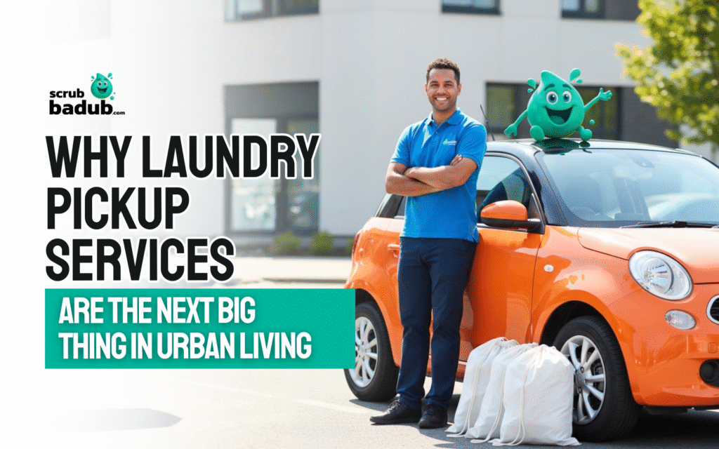 Laundry Pickup Services