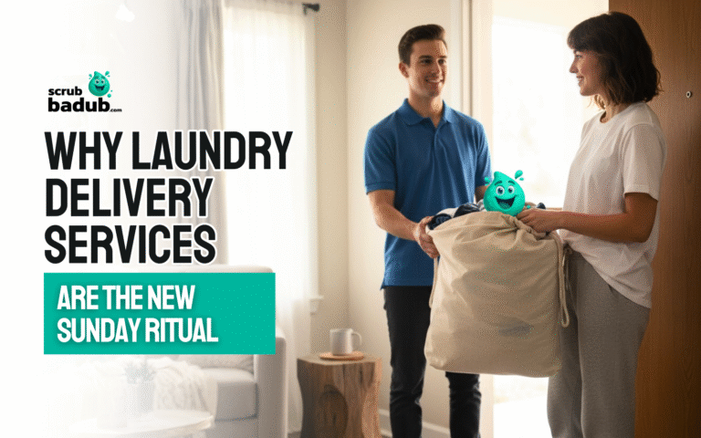 Laundry Delivery Services