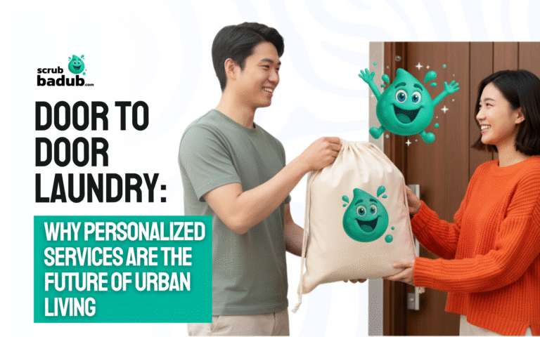 door to door laundry service